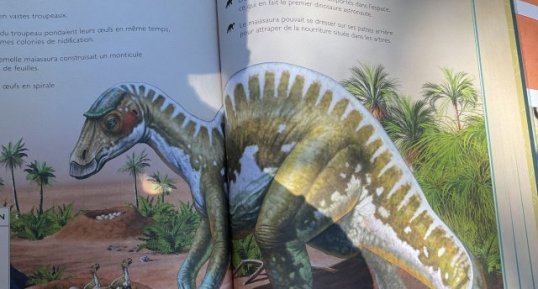 Maiasaura