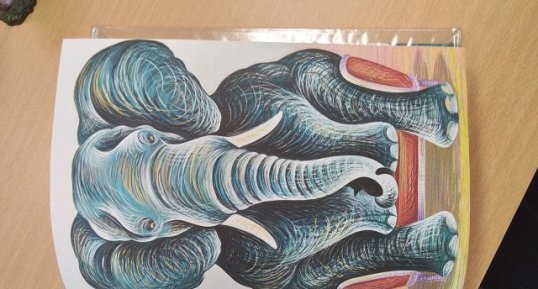 Éléphant d'Afrique