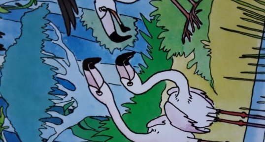 Flamant rose