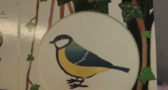 La mésange