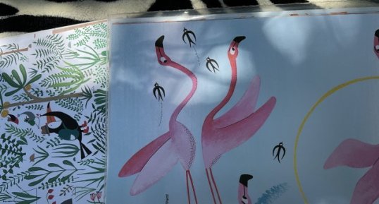 Flamant rose