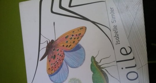 Papillon