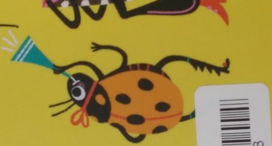 Coccinelle