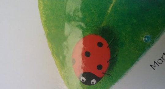 Coccinelle