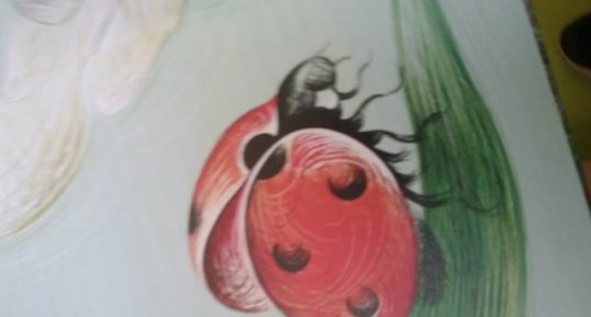 Coccinelle