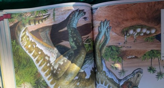 Maiasaura