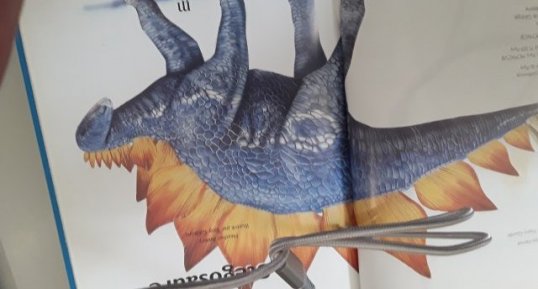 Stegosaure