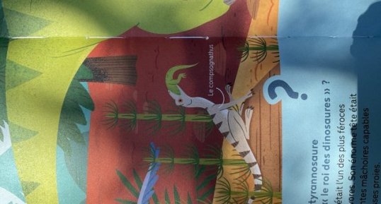 Compsognathus